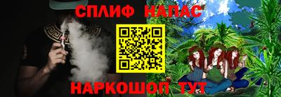 прущие грибы Чебоксары
