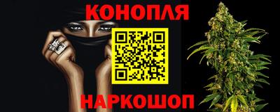 прущие грибы Чебоксары