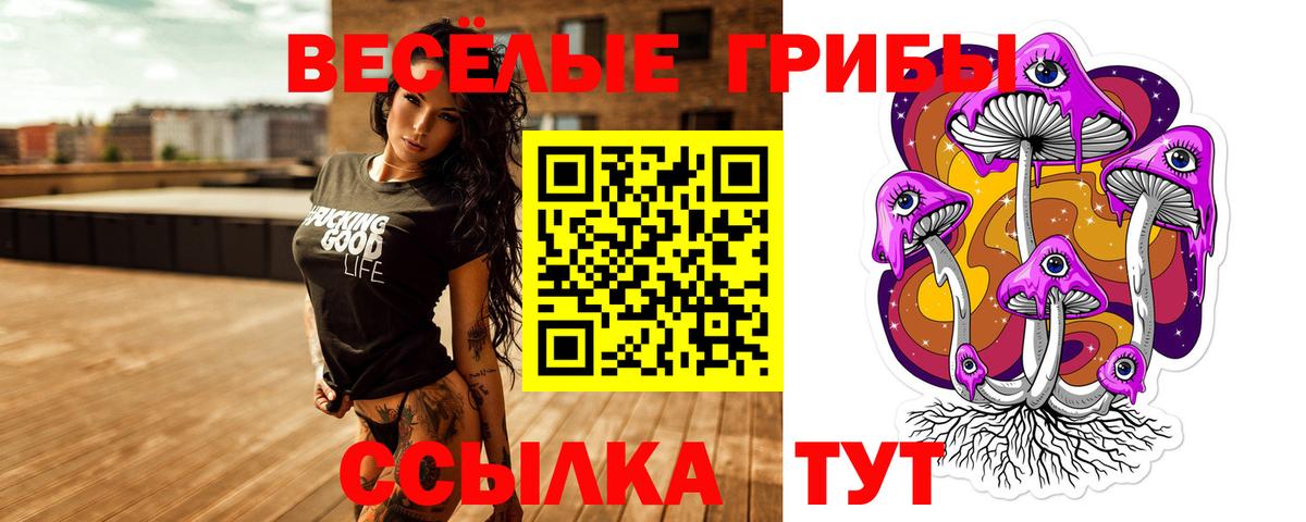 Галлюциногенные грибы мицелий  Вход с VPN  Алушта  Галлюциногенные грибы MAGIC MUSHROOMS 
